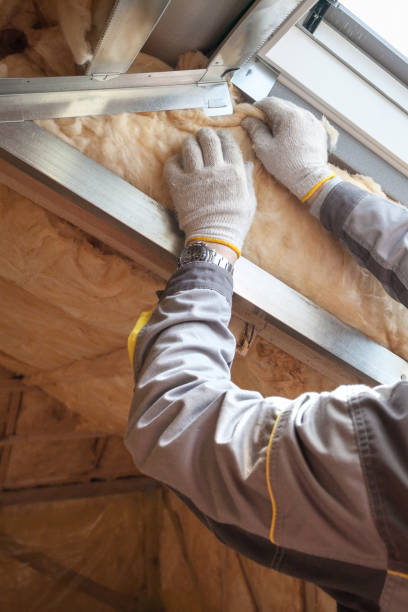 Types of Insulation We Offer in Rodeo, CA